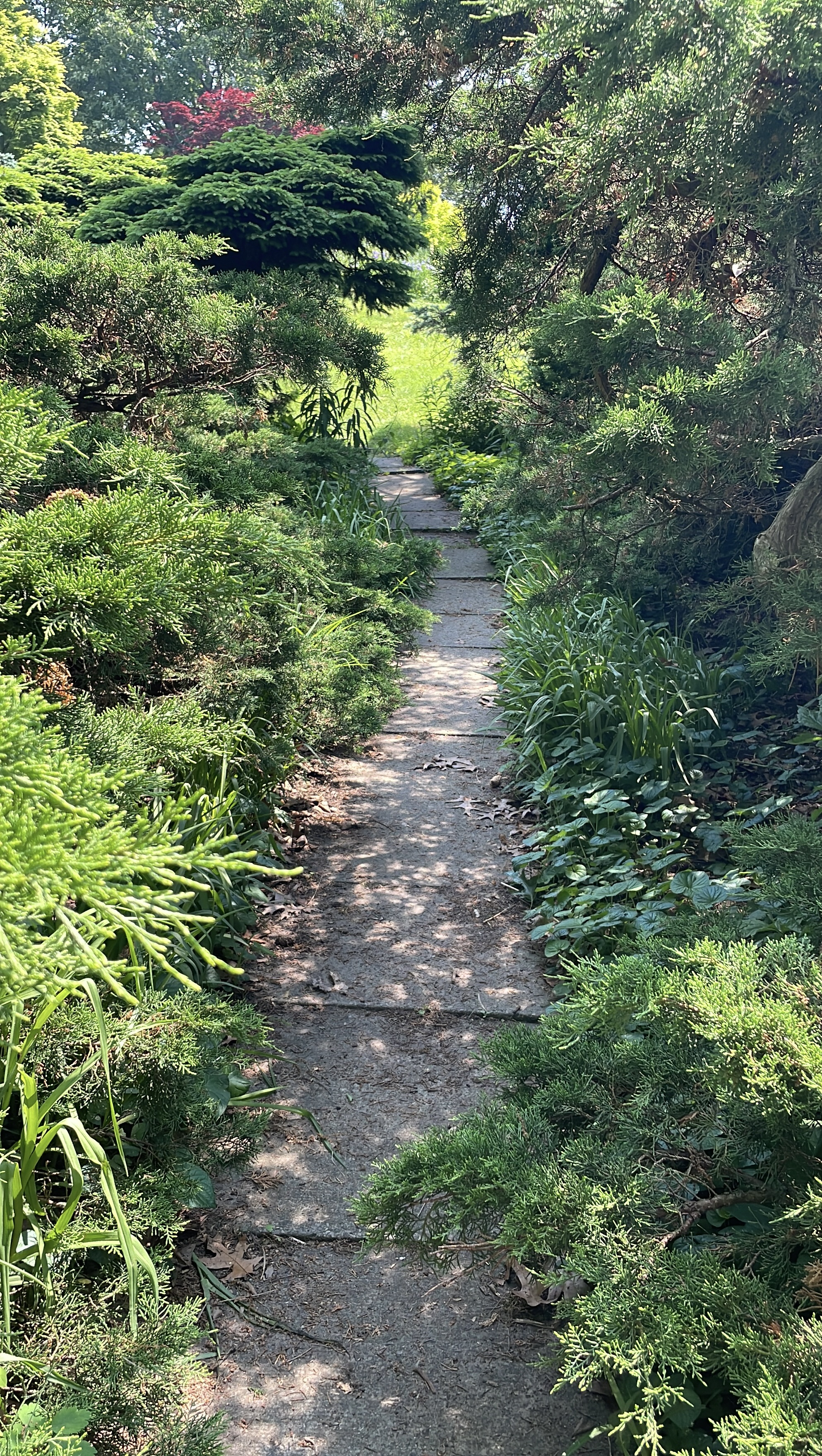 TNI Toronto Earth Walk and Meditation in High Park